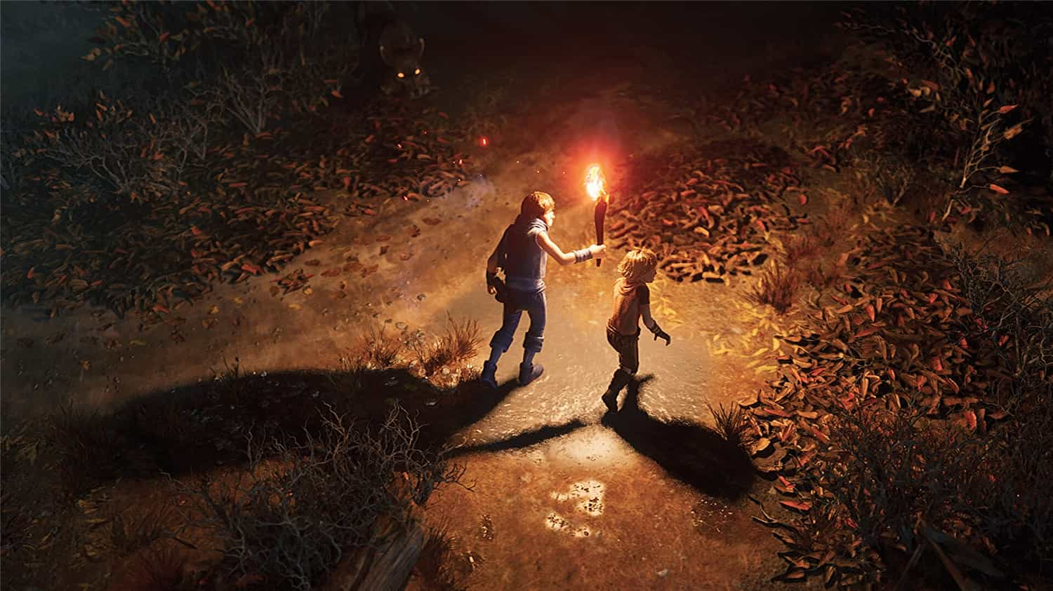 兄弟：双子传说 重制版/Brothers: A Tale of Two Sons Remake 更新至v20240419-容量27.7GB-天亦资源网