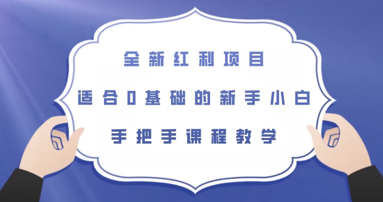 全新红利项目，适合0基础的新手小白，手把手课程教学【揭秘】天亦网独家提供-天亦资源网