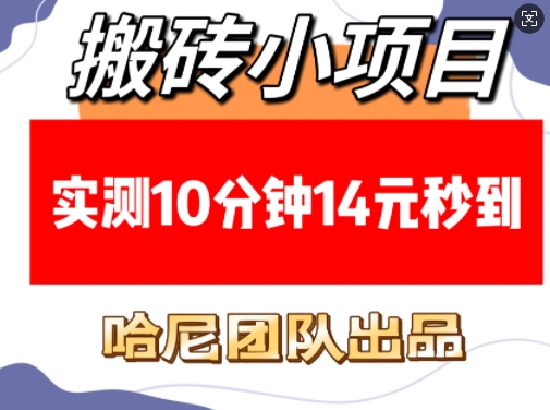 搬砖小项目，实测10分钟14元秒到，每天稳定几张(赠送必看稳定)天亦网独家提供-天亦资源网