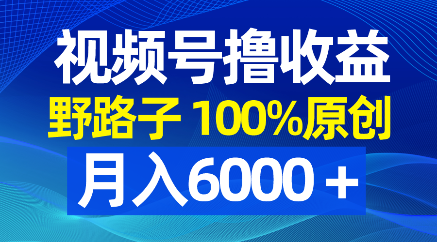 （8679期）视频号野路子撸收益，100%原创，条条爆款，月入6000＋天亦网独家提供-天亦资源网