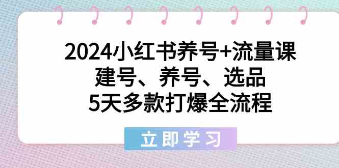 2024小红书养号+流量课：建号、养号、选品，5天多款打爆全流程天亦网独家提供-天亦资源网