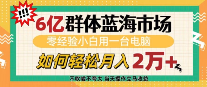 6亿群体蓝海市场，零经验小白用一台电脑，如何轻松月入过w天亦网独家提供-天亦资源网