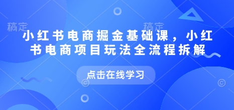 小红书电商掘金课，小红书电商项目玩法全流程拆解天亦网独家提供-天亦资源网