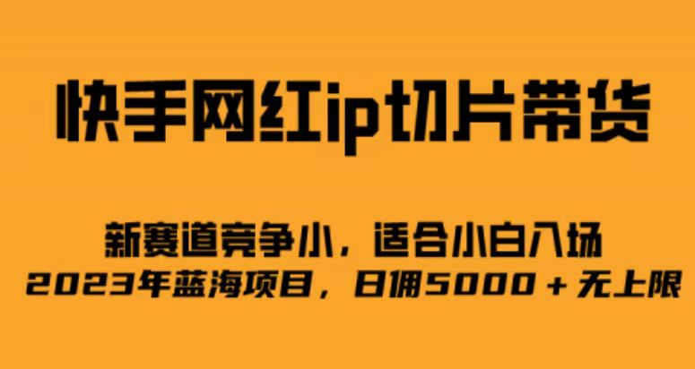 （6832期）快手网红ip切片新赛道，竞争小事，适合小白  2023蓝海项目天亦网独家提供-天亦资源网