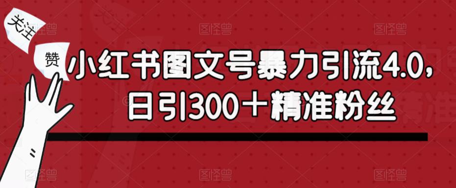 小红书图文号暴力引流4.0，日引300＋精准粉丝【揭秘】天亦网独家提供-天亦资源网