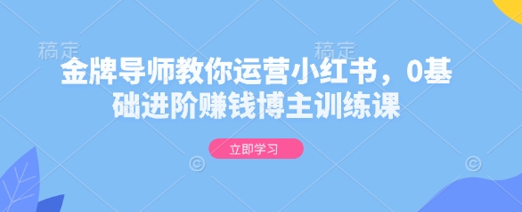 金牌导师教你运营小红书，0基础进阶赚钱博主训练课天亦网独家提供-天亦资源网