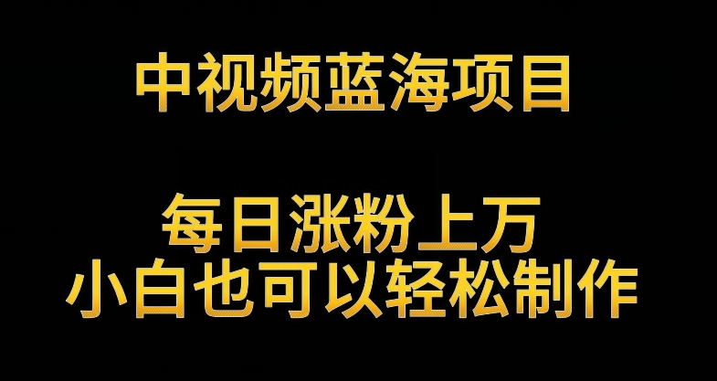 中视频蓝海项目，解读英雄人物生平，每日涨粉上万，小白也可以轻松制作，月入过万不是梦天亦网独家提供-天亦资源网