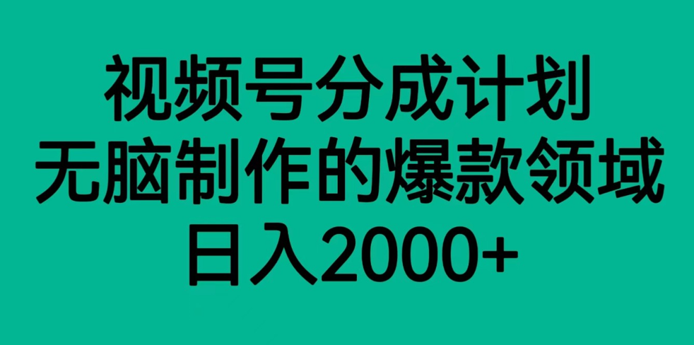 视频号分成计划，轻松无脑制作的爆款领域，日入2000+天亦网独家提供-天亦资源网