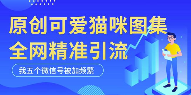 黑科技纯原创可爱猫咪图片，全网精准引流，实操5个VX号被加频繁天亦网独家提供-天亦资源网