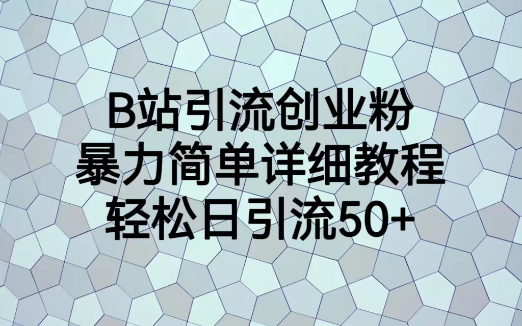 （6639期）B站引流创业粉，暴力简单详细教程，轻松日引流50+天亦网独家提供-天亦资源网