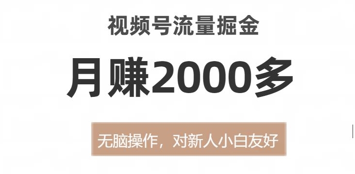 视频号流量掘金，无脑操作，对新人小白友好，月赚2000多【揭秘】天亦网独家提供-天亦资源网