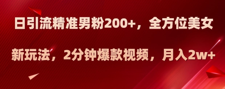 日引流精准男粉200+，全方位美女新玩法，2分钟爆款视频，月入2w+【揭秘】天亦网独家提供-天亦资源网