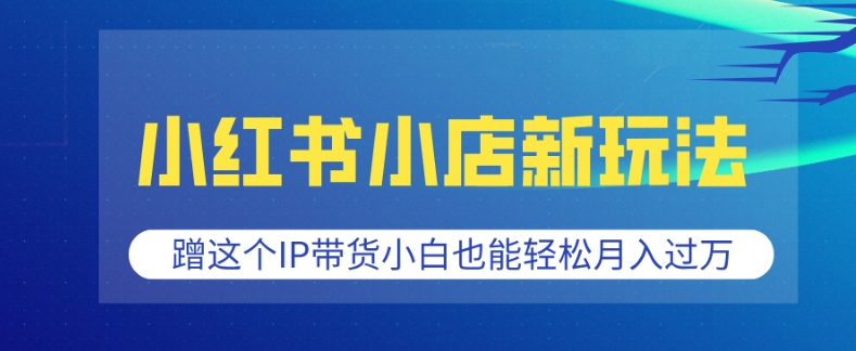 小红书小店新玩法，蹭这个IP带货，小白也能轻松月入过W天亦网独家提供-天亦资源网