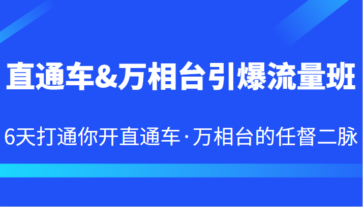 直通车&万相台引爆流量班 6天打通你开直通车·万相台的任督二脉天亦网独家提供-天亦资源网