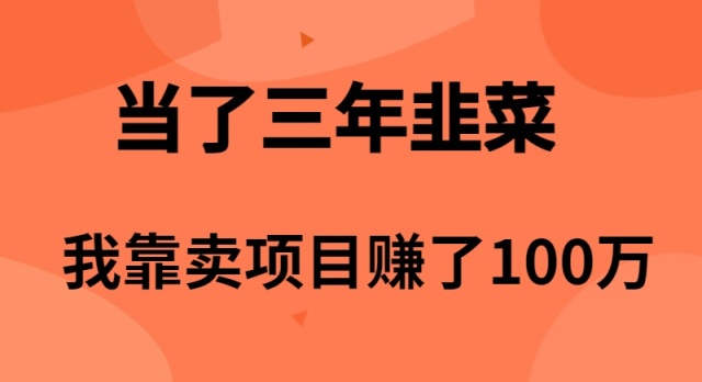 （10149期）当了3年韭菜，我靠卖项目赚了100万天亦网独家提供-天亦资源网