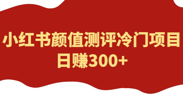 外面1980的项目，小红书颜值测评冷门项目，日赚300+【揭秘】天亦网独家提供-天亦资源网