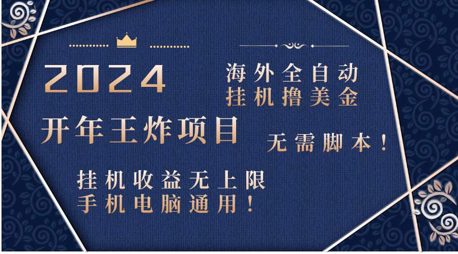 （8494期）2024海外全自动挂机撸美金项目！手机电脑均可，无需脚本，收益无上限！天亦网独家提供-天亦资源网