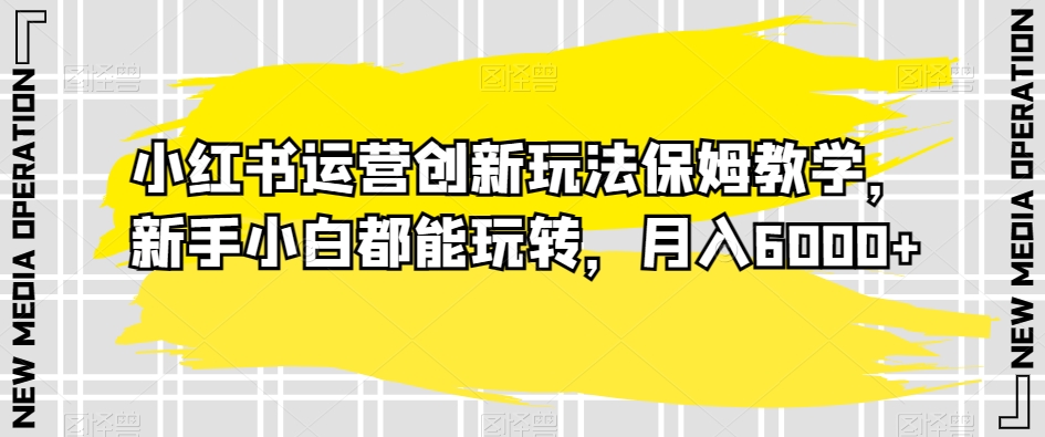 小红书运营创新玩法保姆教学，新手小白都能玩转，月入6000+【揭秘】天亦网独家提供-天亦资源网