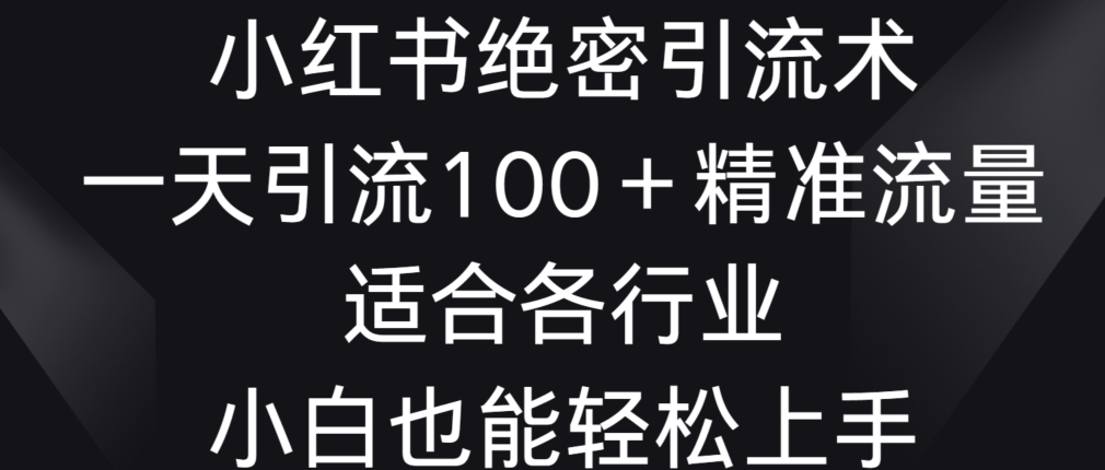 小红书绝密引流术，一天引流100+精准流量，适合各个行业，小白也能轻松上手天亦网独家提供-天亦资源网