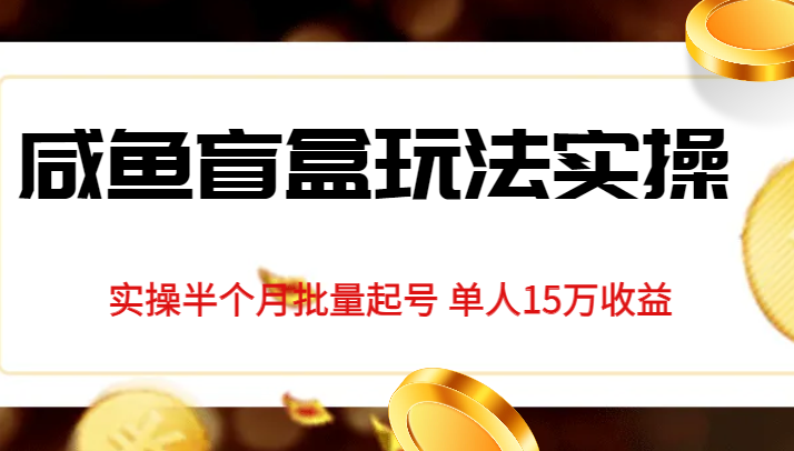 独家首发咸鱼盲盒玩法实操，半个月批量起号单人15万收益揭秘天亦网独家提供-天亦资源网