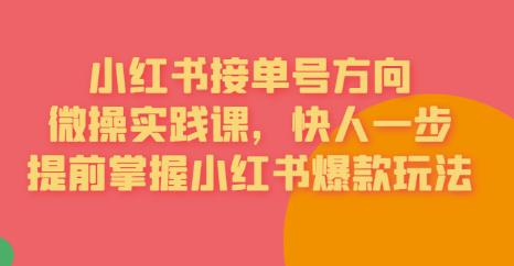 接单号方向·小红书微操实践课，快人一步，提前掌握小红书爆款玩法天亦网独家提供-天亦资源网