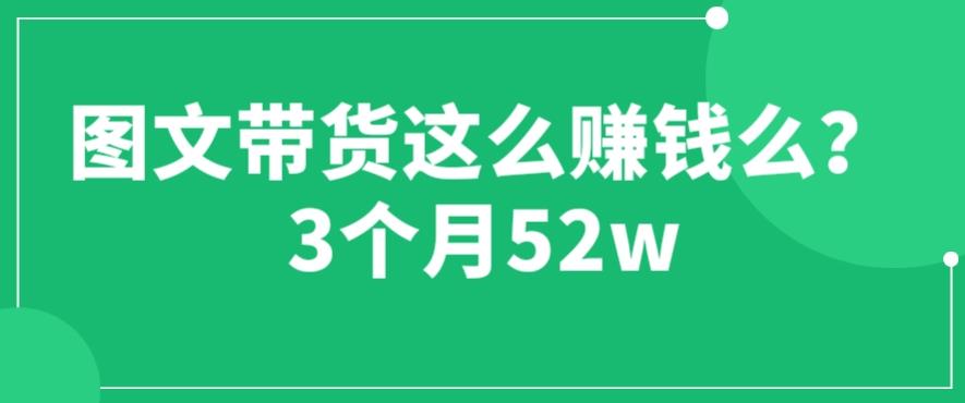 图文带货这么赚钱么? 3个月52W 图文带货运营加强课【揭秘】天亦网独家提供-天亦资源网