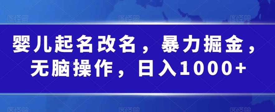 婴儿起名改名，暴力掘金，无脑操作，日入1000+【揭秘】天亦网独家提供-天亦资源网