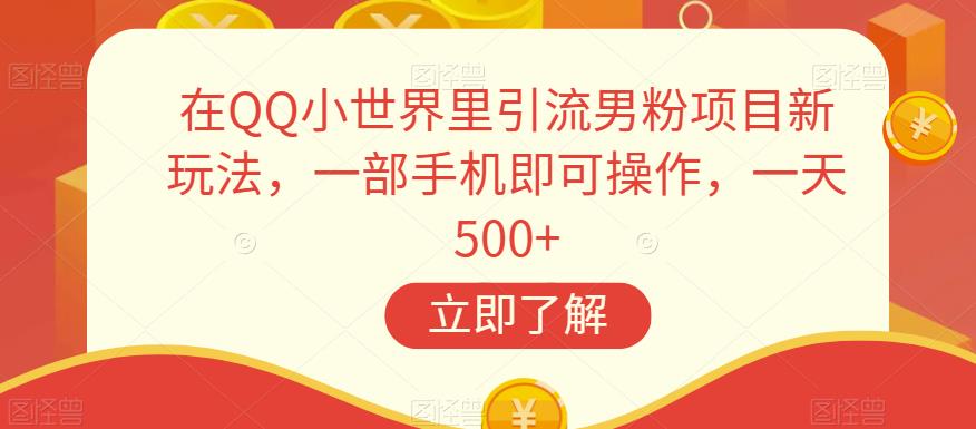 在QQ小世界里引流男粉项目新玩法，一部手机即可操作，一天500+【揭秘】天亦网独家提供-天亦资源网