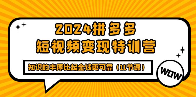 （9817期）2024拼多多短视频变现特训营，知识的丰厚比起金钱更可靠（11节课）天亦网独家提供-天亦资源网