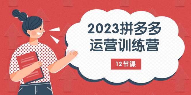 2023拼多多运营训练营：流量底层逻辑，免费+付费流量玩法（12节课）天亦网独家提供-天亦资源网