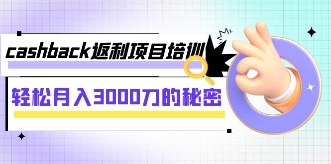 cashback返利项目培训：轻松月入3000刀的秘密（8节课）天亦网独家提供-天亦资源网