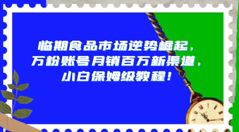 临期食品市场逆势崛起，万粉账号月销百万新渠道，小白保姆级教程【揭秘】天亦网独家提供-天亦资源网