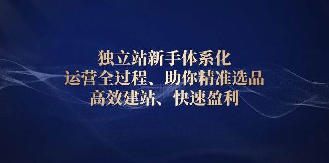 独立站新手体系化 运营全过程，助你精准选品、高效建站、快速盈利天亦网独家提供-天亦资源网