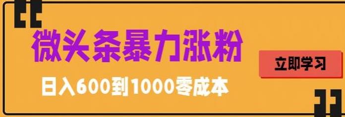 （5950期）微头条暴力涨粉技巧搬运文案就能涨几万粉丝，简单0成本，日赚600天亦网独家提供-天亦资源网