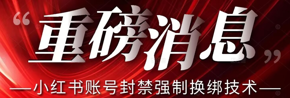 【最新】小红书账号封禁强制换绑技术可日赚300天亦网独家提供-天亦资源网