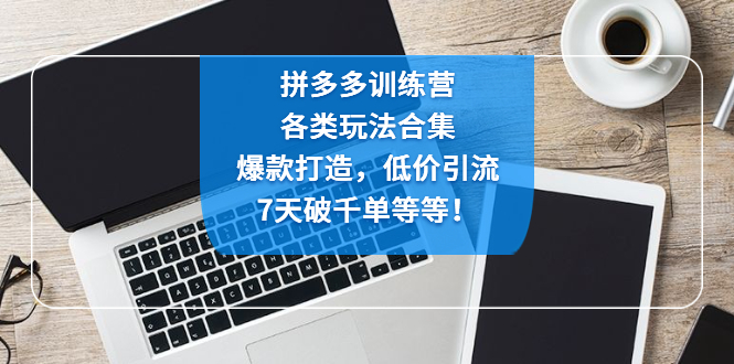 （4693期）拼多多训练营：各玩法合集，爆款打造，低价引流，7天破千单等等！天亦网独家提供-天亦资源网