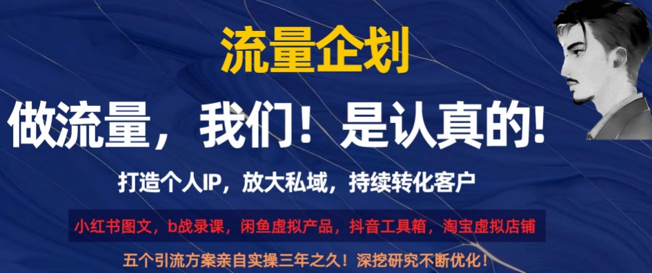 流量企划，打造个人IP，放大私域，持续转化客户【揭秘】天亦网独家提供-天亦资源网