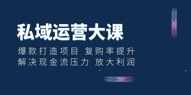 （6455期）私域运营大课：爆款打造项目 复购率提升 解决现金流压力 放大利润天亦网独家提供-天亦资源网