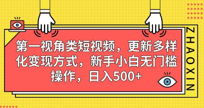 第一视角类短视频，更新多样化变现方式，新手小白无门槛操作，日入500+【揭秘】天亦网独家提供-天亦资源网