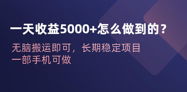 一天收益5000+怎么做到的？无脑搬运即可，长期稳定项目，一部手机可做【揭秘】天亦网独家提供-天亦资源网