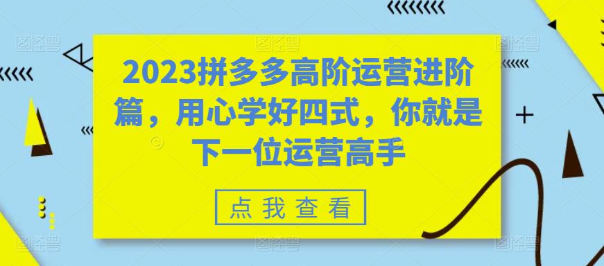 （6193期）2023拼多多高阶运营进阶篇，用心学好四式，你就是下一位运营高手天亦网独家提供-天亦资源网