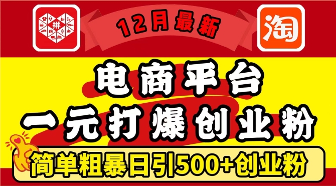 12月最新：电商平台1元打爆创业粉，简单粗暴日引500+精准创业粉，轻松月入过W天亦网独家提供-天亦资源网