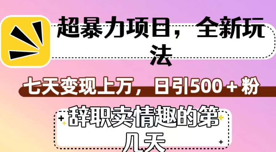 超暴利项目，全新玩法（辞职卖情趣的第几天），七天变现上万，日引500+粉【揭秘】天亦网独家提供-天亦资源网