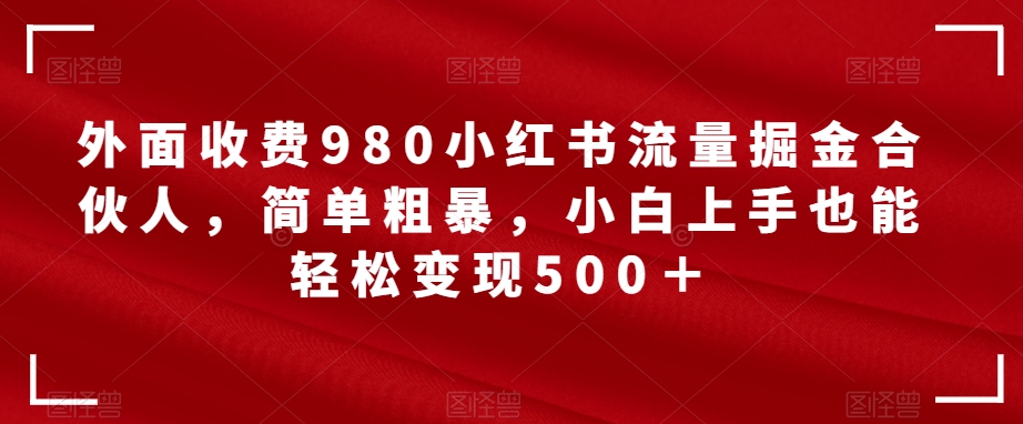 外面收费980小红书流量掘金合伙人，简单粗暴，小白上手也能轻松变现500＋【揭秘】天亦网独家提供-天亦资源网