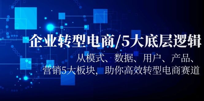 （5939期）企业转型电商/5大底层逻辑，从模式 数据 用户 产品 营销5大板块，高效转型天亦网独家提供-天亦资源网