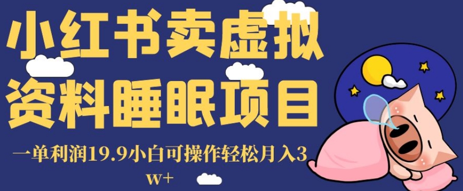 小红书卖虚拟资料睡眠项目，一单利润19.9小白可操作轻松月入3w+【揭秘】天亦网独家提供-天亦资源网