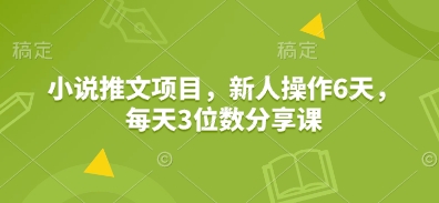 小说推文项目，新人操作6天，每天3位数分享课天亦网独家提供-天亦资源网