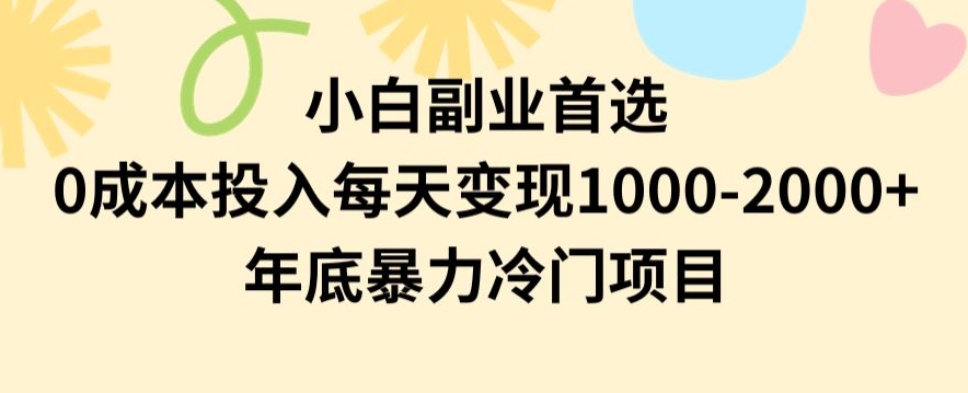 小白副业首选，0成本投入，每天变现1000-2000年底暴力冷门项目【揭秘】天亦网独家提供-天亦资源网