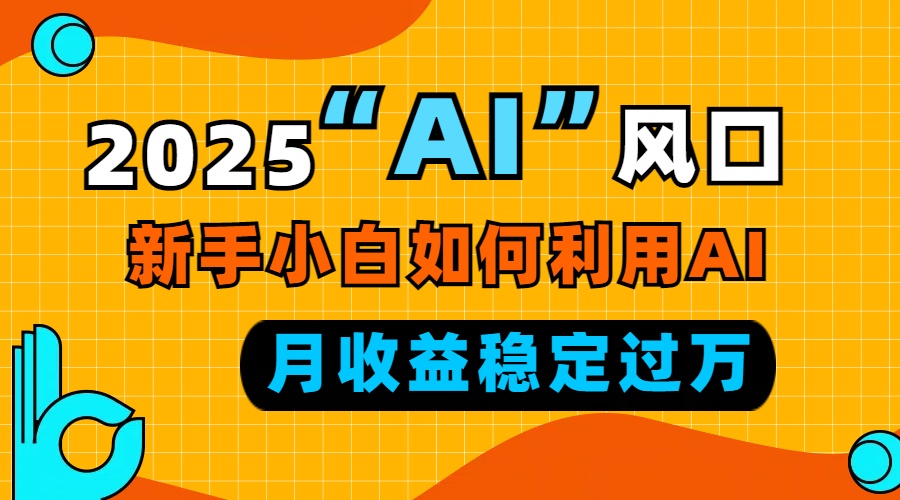 （13821期）2025“ AI ”风口，新手小白如何利用ai，每月收益稳定过万天亦网独家提供-天亦资源网