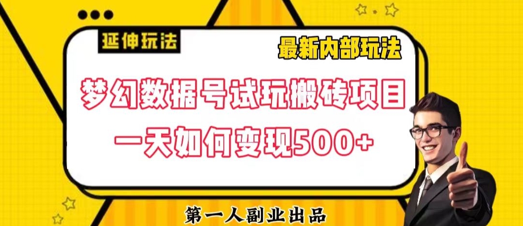 数据号回归玩法游戏试玩搬砖项目再创日入500+【揭秘】天亦网独家提供-天亦资源网